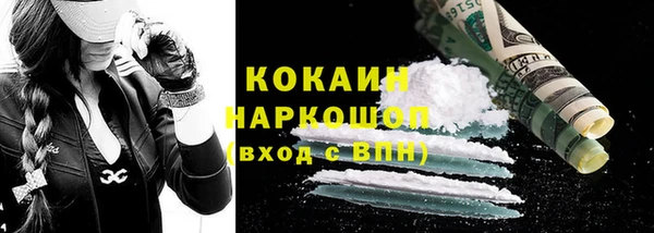 индика Богородицк