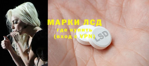 apvp Богданович