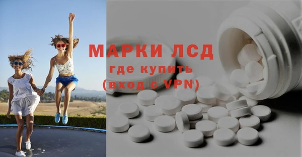индика Богородицк