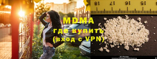 индика Богородицк