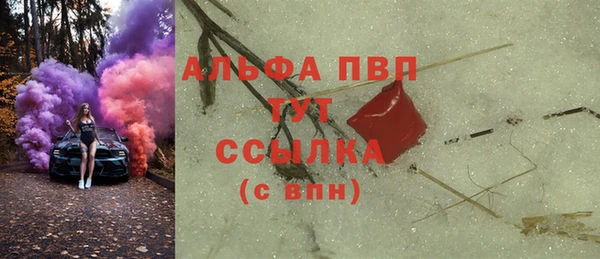 индика Богородицк