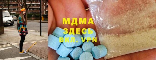 индика Богородицк