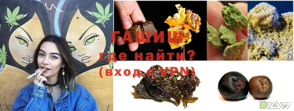 индика Богородицк