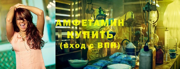 индика Богородицк
