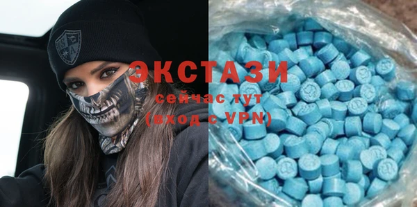 индика Богородицк