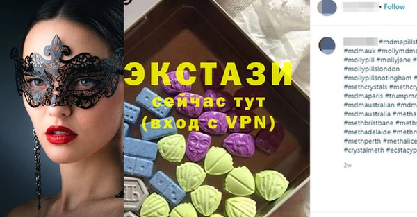 индика Богородицк