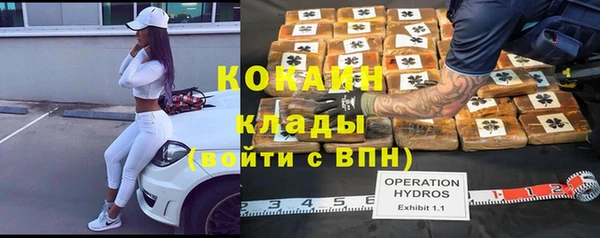 apvp Богданович