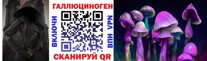 Псилоцибиновые грибы мухоморы Дербент